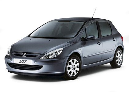 Коврики на Peugeot 307 2001 - 2008 во Владикавказе