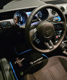 Ворсовые коврики на Ford Mustang VI 2013 - 2023 во Владикавказе Ворсовые коврики на Ford Mustang VI 2013 - 2023 во Владикавказе