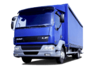 Коврики на DAF LF 2001 - 2025 во Владикавказе
